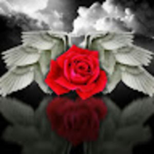 Meet your Posher, María